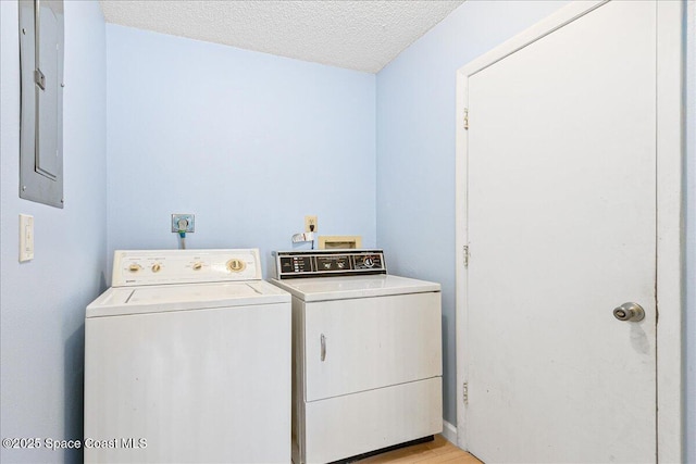 1181 Fairway Ct NE, Palm Bay, FL 32905 - washroom featuring washer and clothes dryer, a textured ceiling, electric panel, and light wood-type flooring