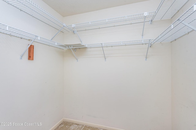 1080 Mayflower Ave, Melbourne, FL 32940 - view of walk in closet