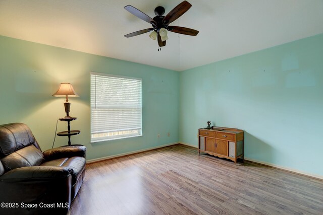 356 Toledo St, Sebastian, FL 32958 - photo 19