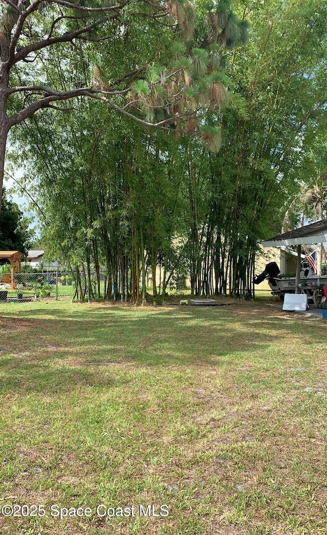1241 Cambo Ct NE, Palm Bay, FL 32905 - view of grassy yard