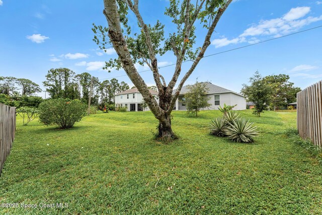 790 Alfonso Ave SE, Palm Bay, FL 32909 - view of yard
