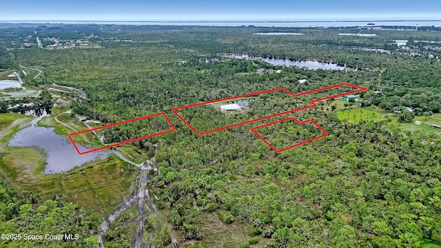 3350 Leghorn Rd, Malabar, FL 32950 - photo 50