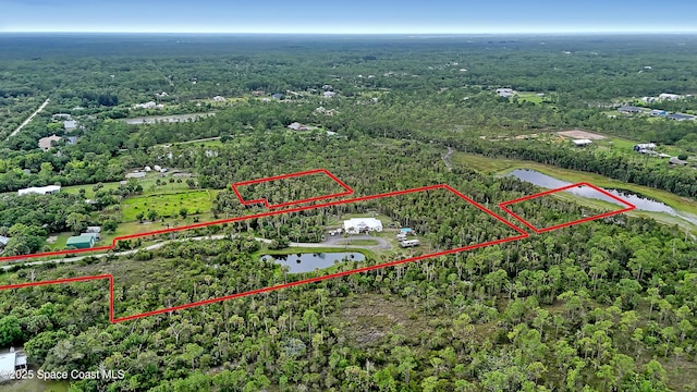 3350 Leghorn Rd, Malabar, FL 32950 - photo 51