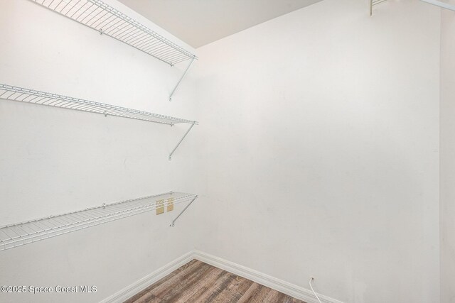 1600 Woodland Dr Unit 4105, Rockledge, FL 32955 - walk in closet with light wood finished floors