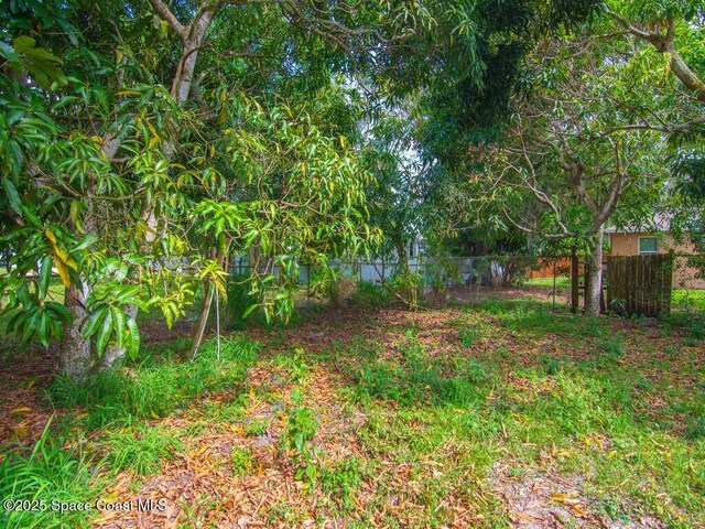 308 N 18th Ct, Ft Pierce, FL 34950 - view of yard
