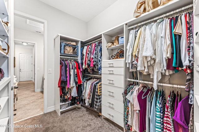 14880 Ellingsworth Ln, Winter Garden, FL 34787 - spacious closet with carpet flooring