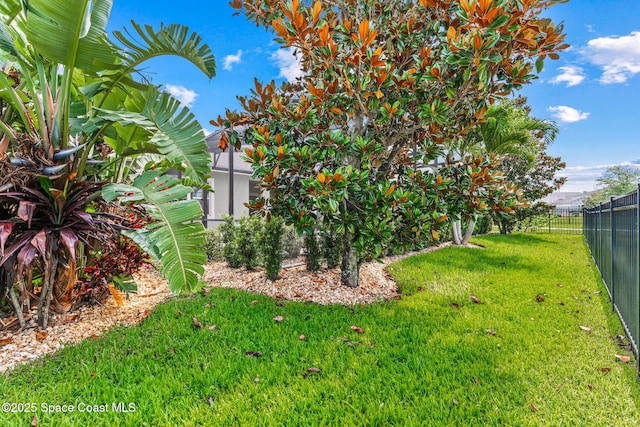 14880 Ellingsworth Ln, Winter Garden, FL 34787 - view of yard