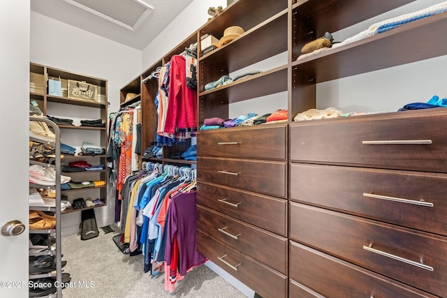 4022 Tradewinds Trl, Merritt Island, FL 32953 - spacious closet with carpet flooring and attic access
