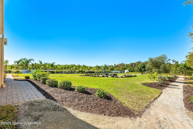 4022 Tradewinds Trl, Merritt Island, FL 32953 - view of grassy yard