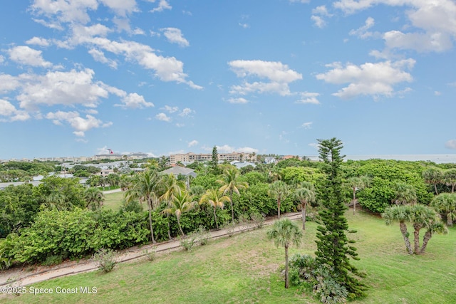 8700 Ridgewood Ave Unit Ph2B, Cape Canaveral, FL 32920 - view of yard