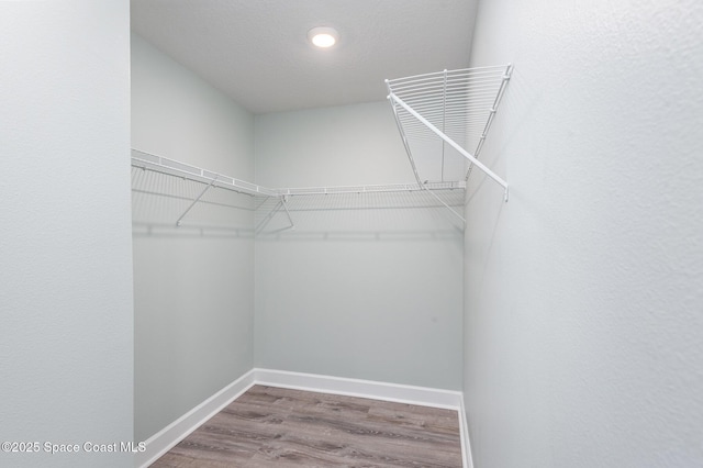 1331 Tupelo Cir, Cocoa, FL 32926 - walk in closet featuring wood finished floors