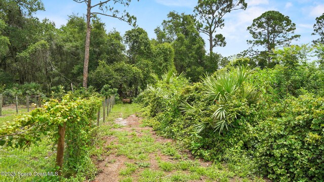 4329 Hunter Rd, Mims, FL 32754 - photo 66