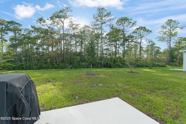 3941 Willowbrook Dr, Edgewater, FL 32141 - photo 34