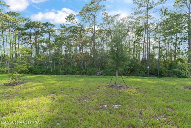 3941 Willowbrook Dr, Edgewater, FL 32141 - photo 35