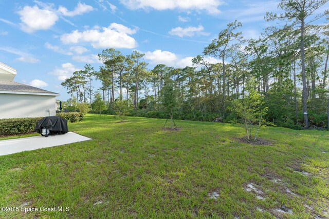 3941 Willowbrook Dr, Edgewater, FL 32141 - photo 38