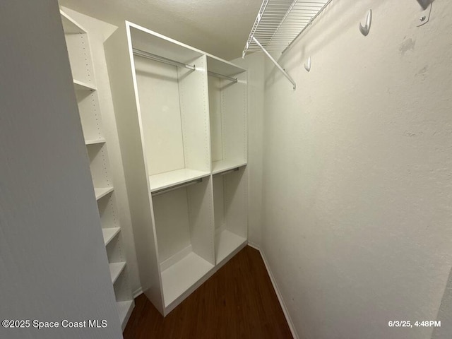 5663 Star Rush Dr Unit 107, Melbourne, FL 32940 - walk in closet featuring wood finished floors