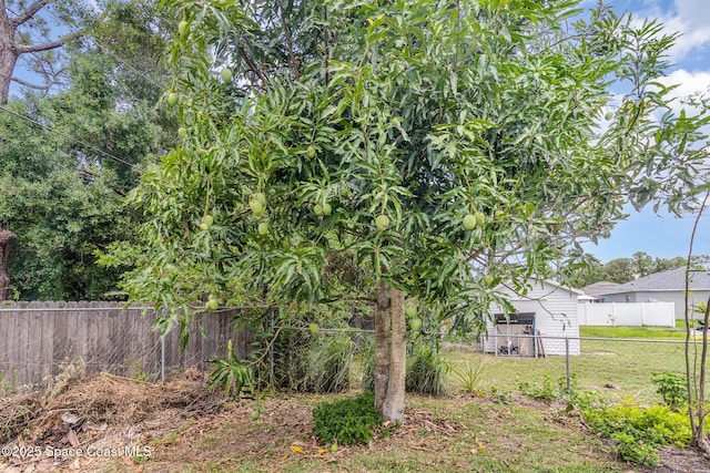 251 District St SE, Palm Bay, FL 32909 - view of yard