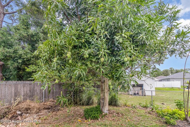 251 District St SE, Palm Bay, FL 32909 - view of yard