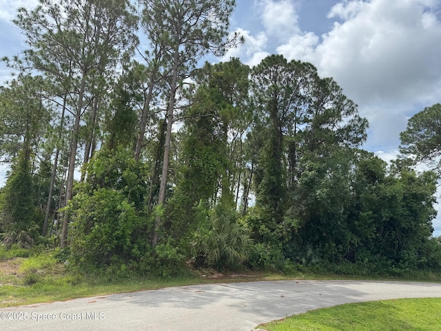 120 Angelo Rd SE, Palm Bay, FL 32909