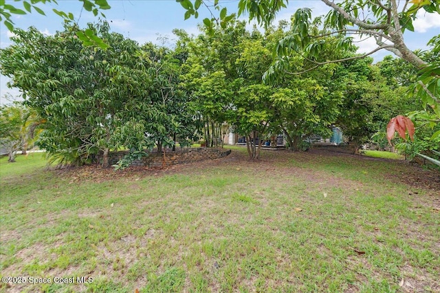 1510 Jupiter Blvd NW, Palm Bay, FL 32907 - view of green lawn