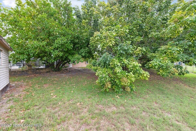 1510 Jupiter Blvd NW, Palm Bay, FL 32907 - view of grassy yard
