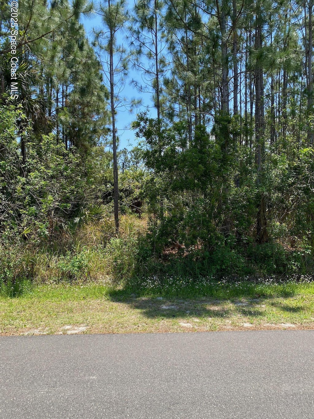 362 Frazer St SW, Palm Bay, FL 32908
