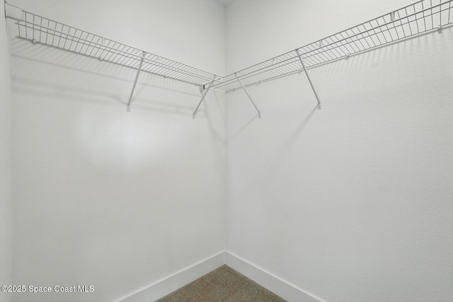 15 Ponderosa Ln, Palm Coast, FL 32164 - spacious closet featuring dark carpet