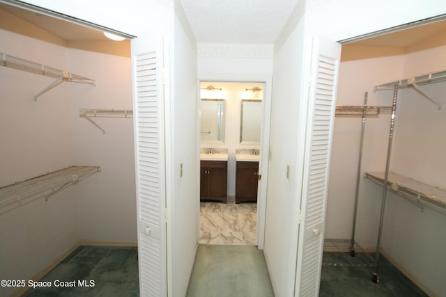1361 Athens Dr NE, Palm Bay, FL 32907 - spacious closet featuring a sink and carpet flooring