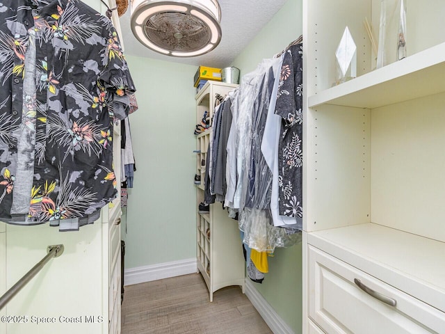 2815 S Atlantic Ave Unit 705, Cocoa Beach, FL 32931 - spacious closet with light wood-type flooring