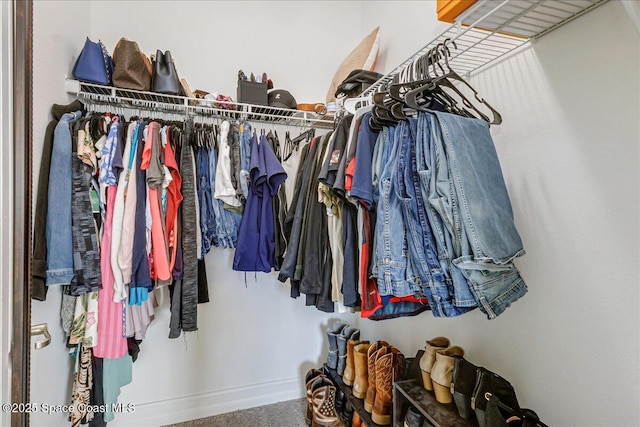 1475 Isabella Dr Unit 101, Melbourne, FL 32935 - walk in closet featuring carpet flooring