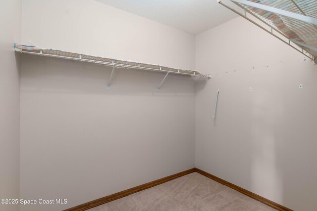 1262 Heberling St NW, Palm Bay, FL 32907 - walk in closet with light colored carpet