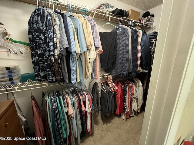 237 Jacaranda Ave NW, Palm Bay, FL 32907 - spacious closet with carpet floors