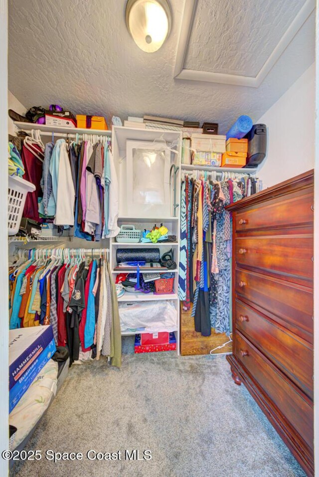 6485 Beard Ave, Cocoa, FL 32927 - spacious closet with carpet floors