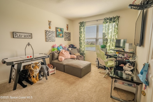 3409 Burrowing Owl Dr, Mims, FL 32754 - photo 27
