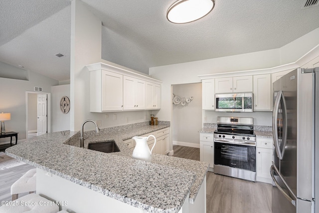 542 White Plains Ave SW, Palm Bay, FL 32908 - kitchen featuring appliances with stainless steel finishes, a sink, vaulted ceiling, a peninsula, and light wood-style floors