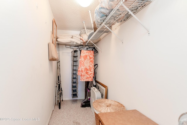 3060 N Atlantic Ave Unit 602, Cocoa Beach, FL 32931 - spacious closet featuring carpet