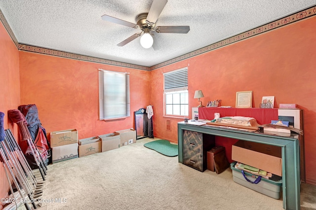 409 Stendal Rd NW, Palm Bay, FL 32907 - office space featuring a textured ceiling, carpet flooring, and a ceiling fan