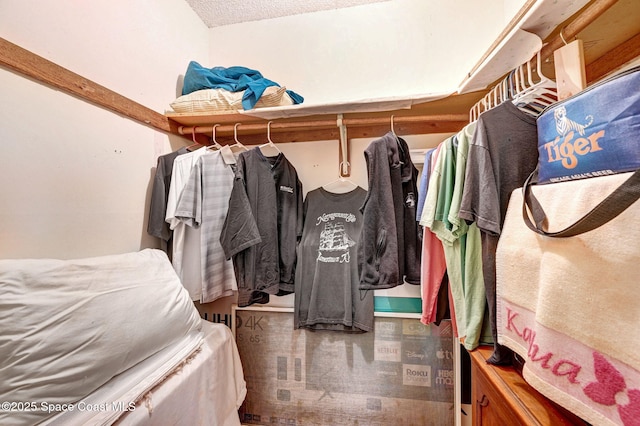 409 Stendal Rd NW, Palm Bay, FL 32907 - view of spacious closet