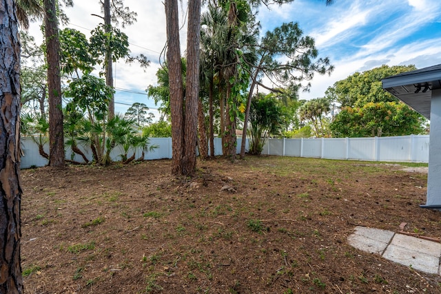306 Harvey Ave NE, Palm Bay, FL 32907 - view of yard
