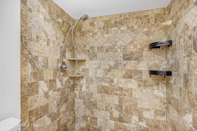 1455 Centaurus Ct, Merritt Island, FL 32953 - bathroom view of a tile shower and toilet