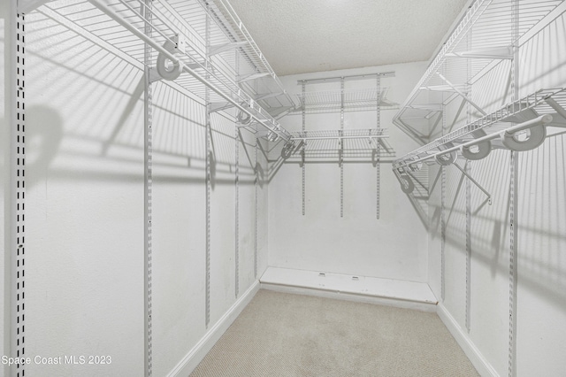 1455 Centaurus Ct, Merritt Island, FL 32953 - walk in closet featuring carpet