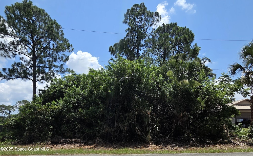 0 Tejon Ave SW, Palm Bay, FL 32908 - photo 2