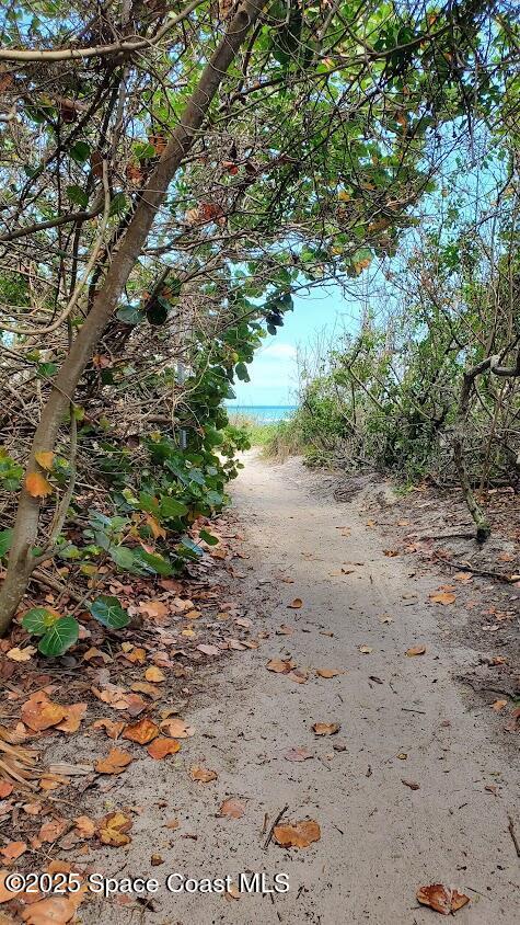 8714 Jasmine Ct, Cape Canaveral, FL 32920 - view of undeveloped land