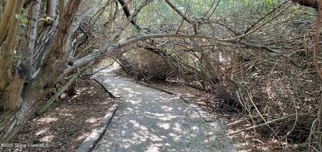 8714 Jasmine Ct, Cape Canaveral, FL 32920 - view of local wilderness