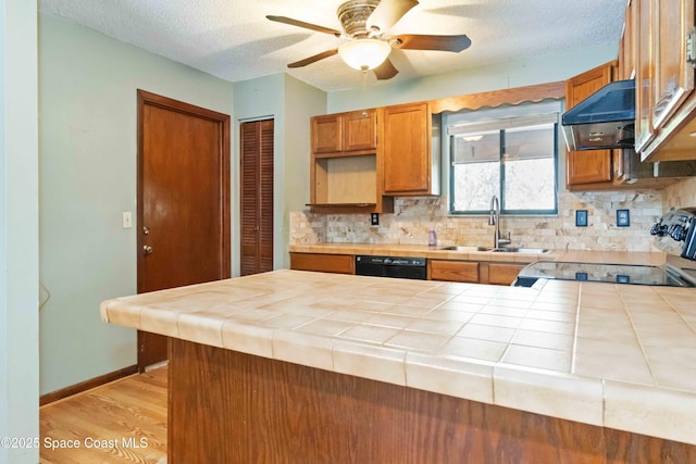 662 Estaugh St NW, Palm Bay, FL 32907 - kitchen with a sink, tile counters, ventilation hood, dishwasher, and backsplash