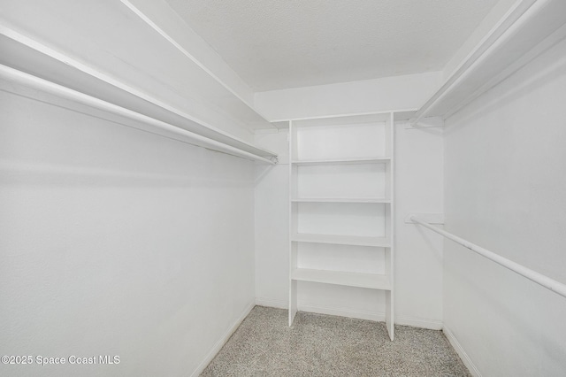 1700 Atlantic St Unit 1, Melbourne Beach, FL 32951 - spacious closet featuring carpet flooring
