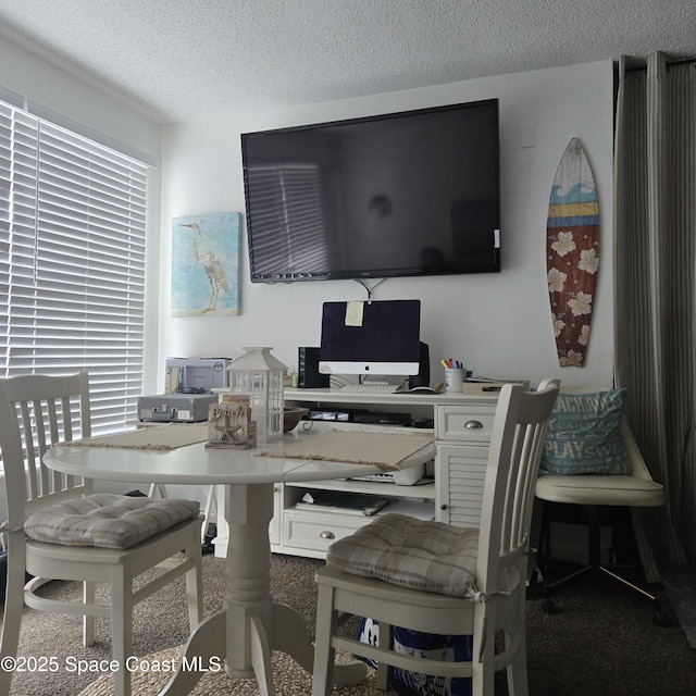 935 S Atlantic Ave Unit 234, Daytona Beach, FL 32118 - carpeted office space featuring a textured ceiling