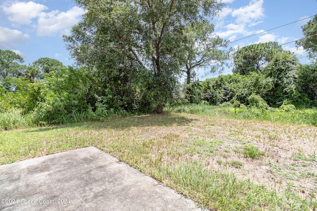 260 Hinchman St SE, Palm Bay, FL 32909 - view of yard
