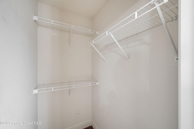3977 Foothill Dr, Titusville, FL 32796 - view of spacious closet