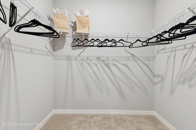 1103 Dunes Ave, Melbourne, FL 32904 - spacious closet featuring carpet